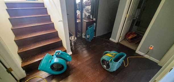 Best Professional water damage repair  in South Pottstown, PA