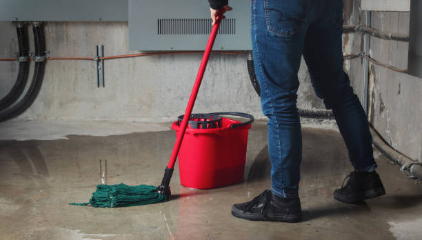 Best 24/7 water damage repair  in South Pottstown, PA