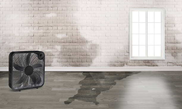 Best 24-hour water damage restoration  in South Pottstown, PA