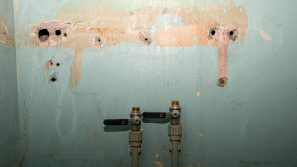 Best Water damage cleanup near me  in South Pottstown, PA