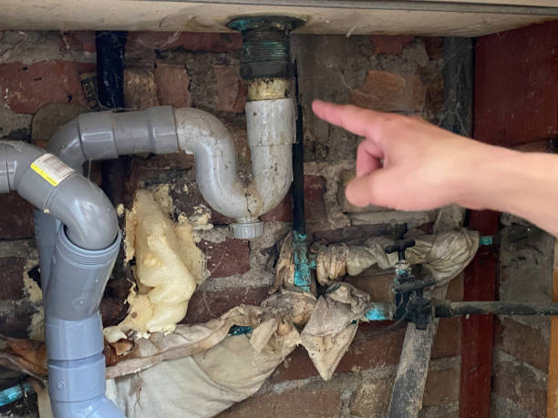 Best Professional water damage repair  in South Pottstown, PA