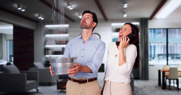 Best Basement water damage restoration  in South Pottstown, PA